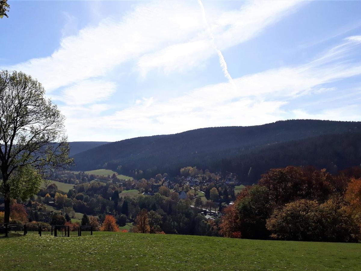 Cozy Apartment In Ore Mountains With Balcony 브라이텐브룬 외부 사진
