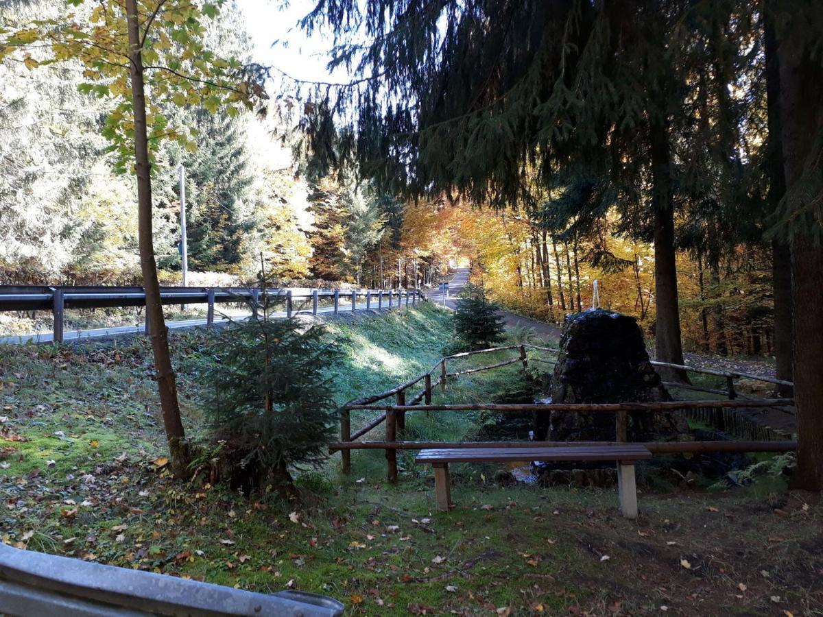 Cozy Apartment In Ore Mountains With Balcony 브라이텐브룬 외부 사진