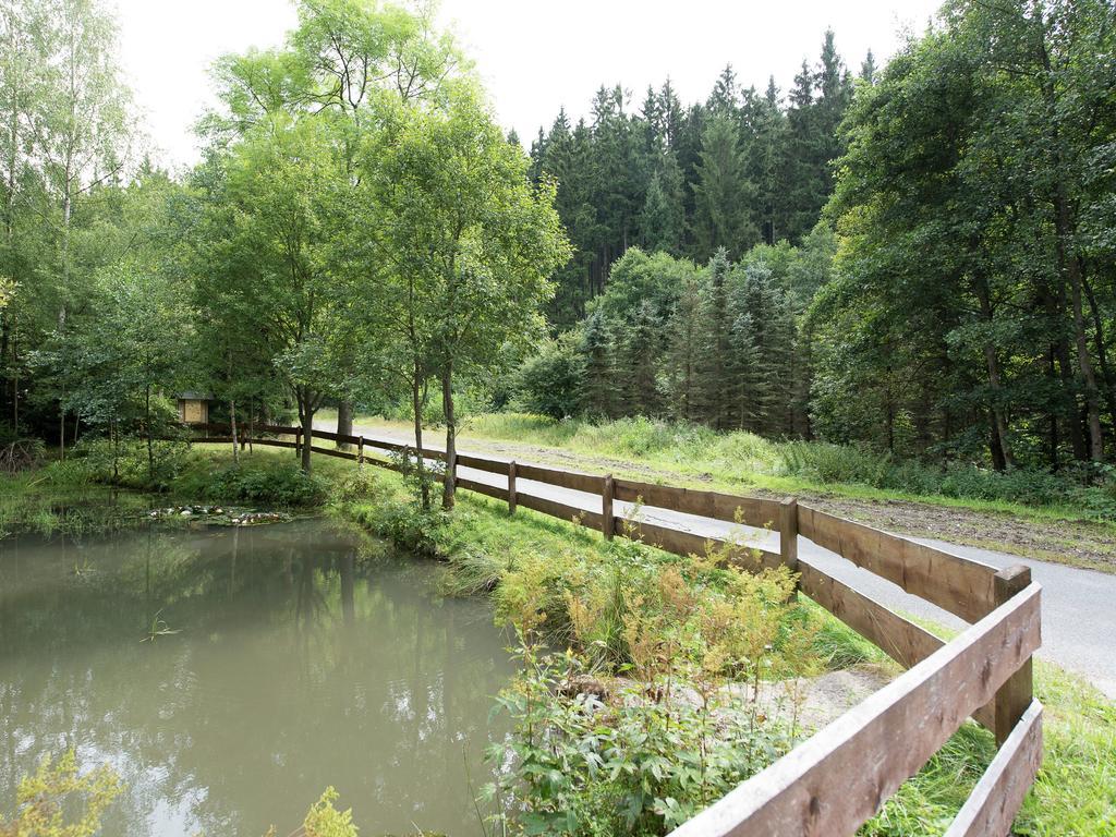 Cozy Apartment In Ore Mountains With Balcony 브라이텐브룬 외부 사진